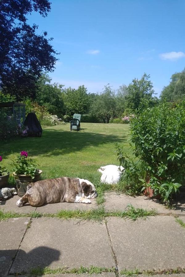 Twenty Bed & Breakfast Skellingthorpe Exterior foto