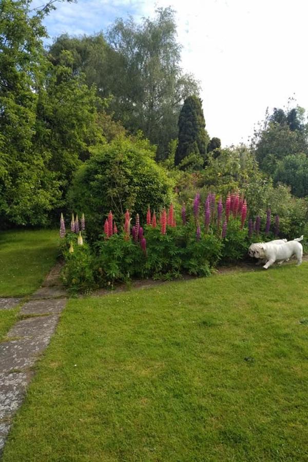 Twenty Bed & Breakfast Skellingthorpe Exterior foto