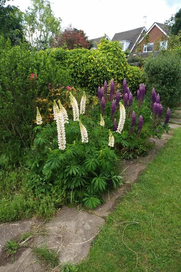 Twenty Bed & Breakfast Skellingthorpe Exterior foto